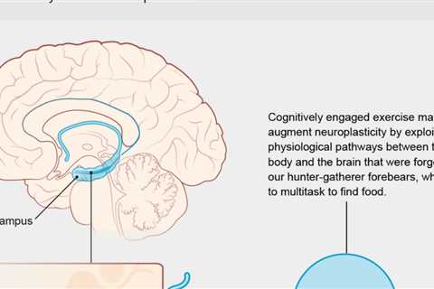 How exercise benefits the brain