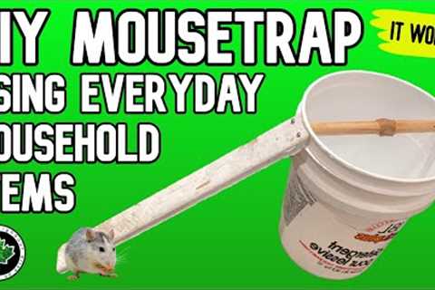 DIY MOUSETRAP Using Everyday Household Items