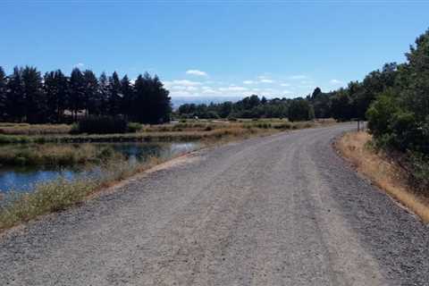 Out and back to Vasona Lake