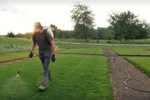 Is This The Best Time For Lawn Care??