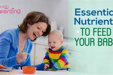 Essential Nutrients for a Baby (For 6 Month Old and Above)