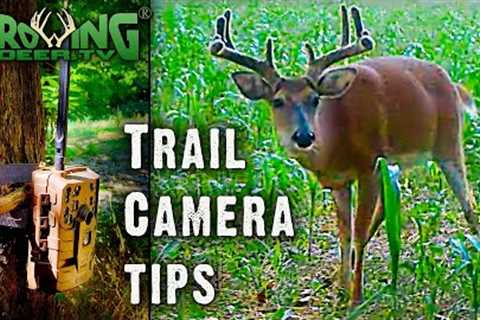 Trail Camera Tips: Where and How to Place Cameras (713)