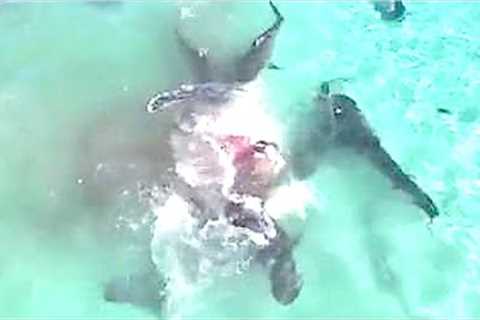 This Drone Accidentally Made A Chilling Discovery After Spotting This In The Middle Of The Ocean