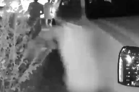 Ring Cam Shows Intruders Fleeing As Home Owner Pulls 'AK-47 Style Rifle' on Them During Attempted..