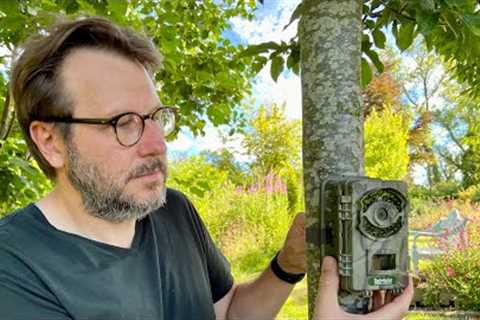 Bushwhacker D3N 16MP Trail Camera Review