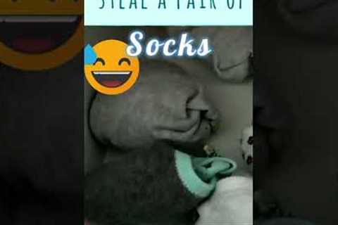 DIY Cute Gift Idea for your Significant Other #shorts