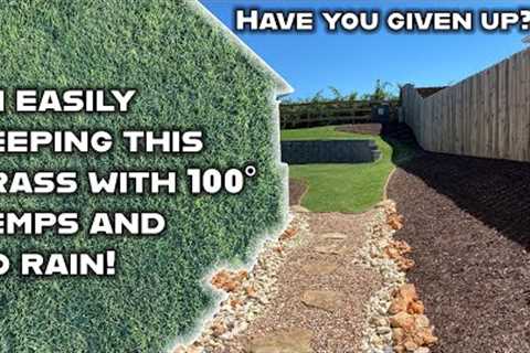 How to easily maintain green grass in the heat of summer without rain and specialty lawn products.