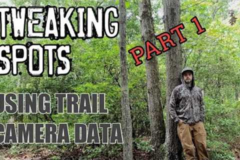 Trail Camera Data to Tweak Stand Location.          #hunting #trailcamera