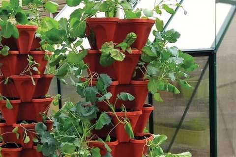 10 Best Vertical Garden Planters