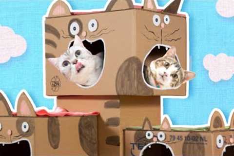 DIY Cat House - How to Make a Cat Tree from Cardboard | Easy Cat Furniture &amp; Craft Projects
