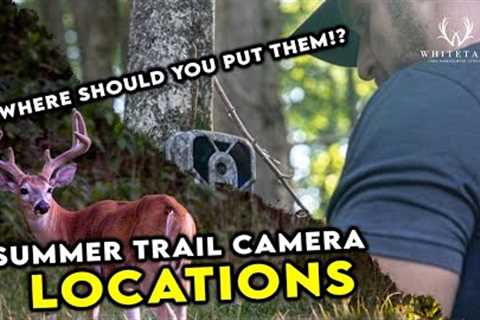 Move Summer Trail Cameras HERE!!! RIGHT NOW!!!
