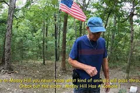 Prepping Mossy Hill for trail cam