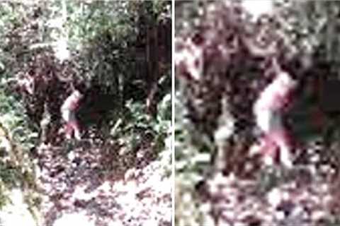 This Chilling Photograph That Was Captured On Hikers' Camera Show Final Moments In The Jungle