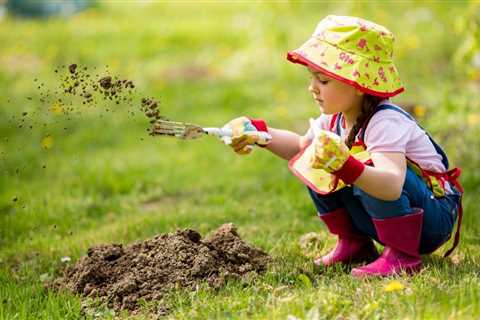 Easy to Grow Herbs - The Easiest Herbs to Grow Outside