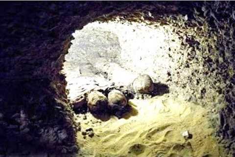 A Team Of Archaeologists Made A Surprising Discovery Next To The Oldest Pyramid In The Wold