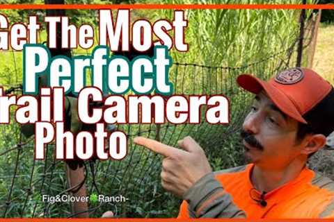 Trail Camera SetUp - Get The Perfect Deer Photo 📸