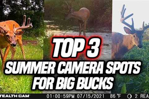 TOP 3 Summer Trail Camera Spots For BIG Bucks!
