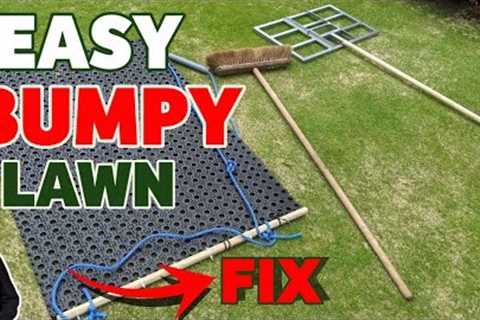 Fixing the bumpy bit on my lawn // Beginners guide to a level lawn