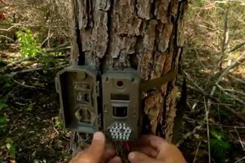 Trail camera rechargeable battery upgrade that is easy and affordable!