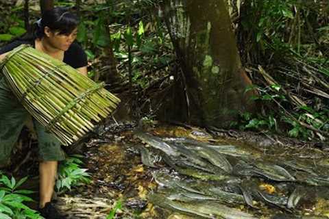 Surprise: Fish Trap Techniques Using Ancient Methods- A lucky Day/ Bushcraft &amp; Survival Part 6