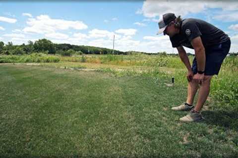 My CRAZY Plans For Fall Lawn Renovations
