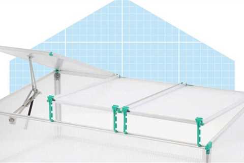 8 Best Cold Frame Greenhouses