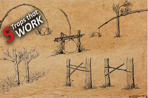 5 Survival Traps and Snares that WORK! - Primitive Traps