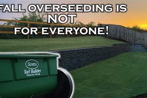 Your crazy FALL OVERSEEDING plans could be a TERRIBLE IDEA! Two reasons why you might fall overseed.