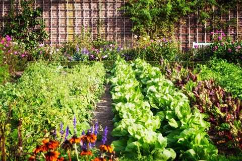 Caring For Raised Garden Beds