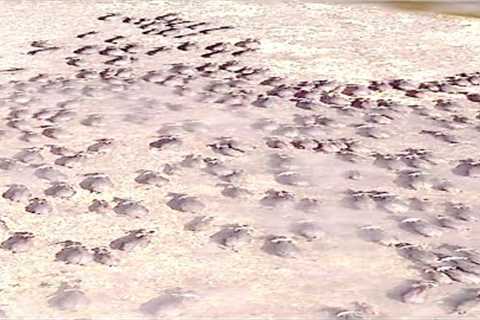 Scientists Made A Surprising Discovery On Mars &amp; Said That It Changes Everything