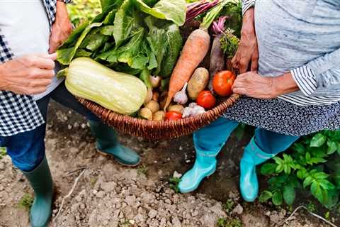 Beginner Gardening Tips and Tricks For Beginners