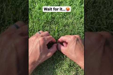 Even Mr. Beast couldn’t do this! 😲💯 #shorts #mrbeast #viral