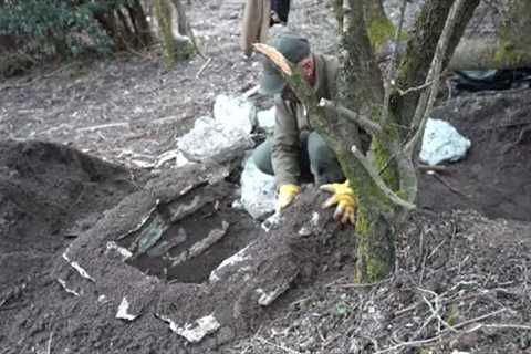 6 Shelters building from start to finish. bushcraft skills. survival skills