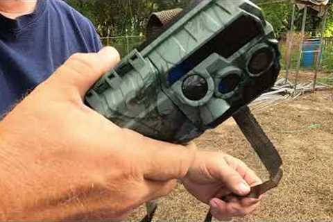 Wosports Trail Camera Follow-up Review