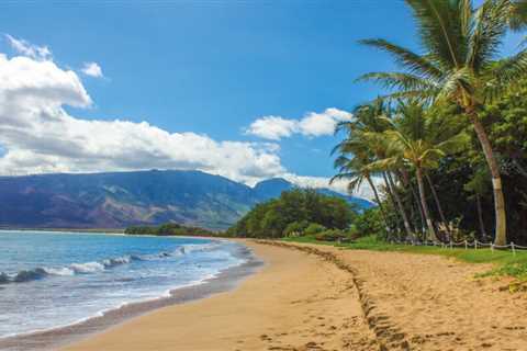 7 Fun Maui Facts That you Should Know Before Visiting