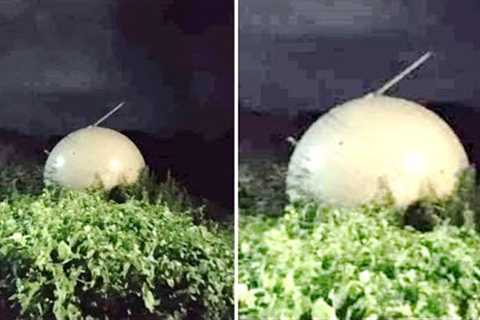 Someone Just Reported That Something Massive Just Fell Out Of The Sky &amp; Landed In Mexico