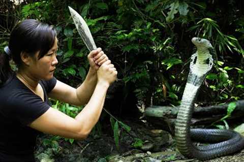 Running Out of Food - Risking to Catch a Cobra/ Bushcraft &amp; Survival Part 4