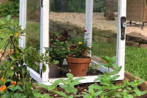 9 DIY Mini Greenhouse Ideas