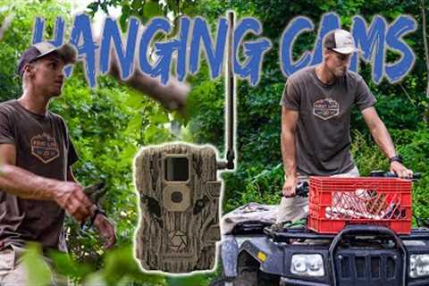 Hanging Summer Trail Cameras | How to find deer on your property!