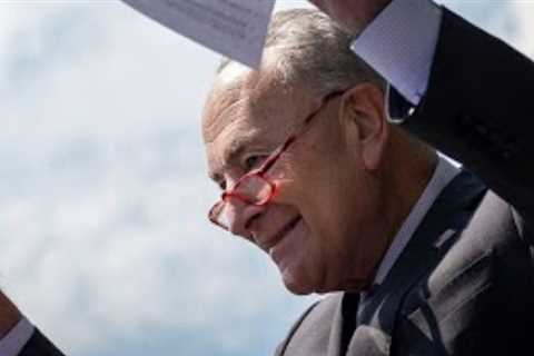 Democrats Have A Lot Riding On The Inflation Reduction Act l FiveThirtyEight