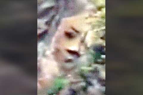 Drone Finds Massive Face Carving Hidden Inside This National Park #shorts