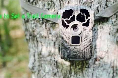 How to Set Up a Trail Camera!!