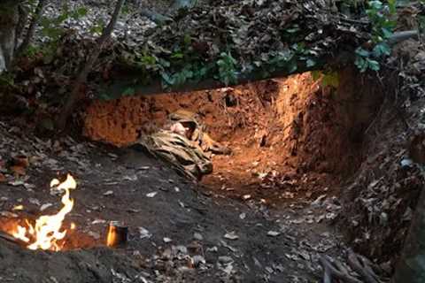 Wild camp in the forest. Excavated a natural shelter at a large tree root. Sleeping under the ground