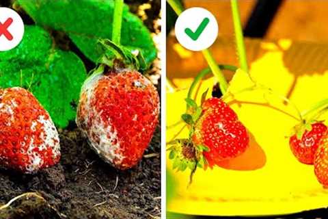 35 USEFUL GARDENING HACKS AND DIY GADGETS