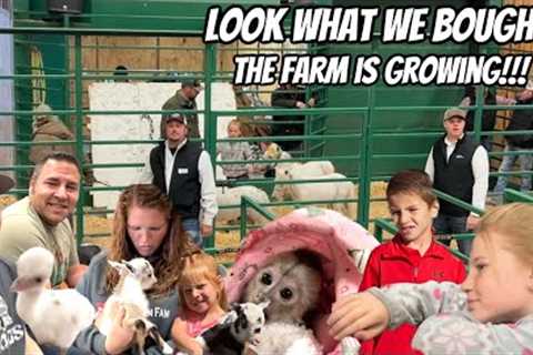 We Went To An Exotic Animal Auction Look What We Came Home With!!!