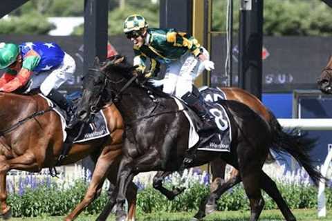 Japanese Jockey Taiki Yanagida  last horse race that caused his death.