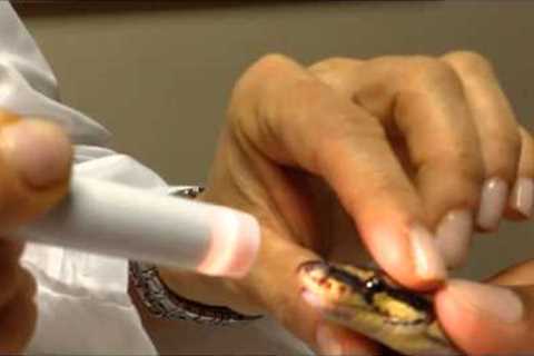 Bringing your snake to the vet