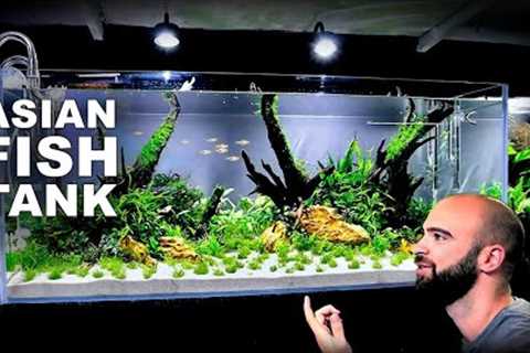 Aquascape Tutorial: EPIC 4ft Planted Asian Fish Aquarium (How To: Full Step By Step Guide)
