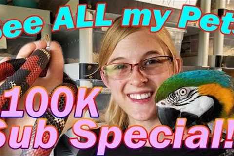 2018 REPTILE ROOM TOUR- Part 1!