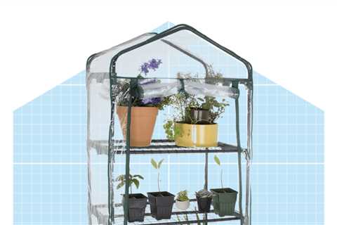 Guide To Choosing the Best Indoor Greenhouse